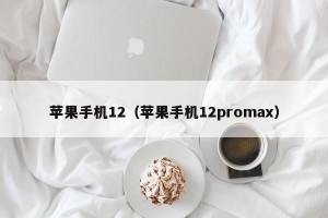 苹果手机12（苹果手机12promax）